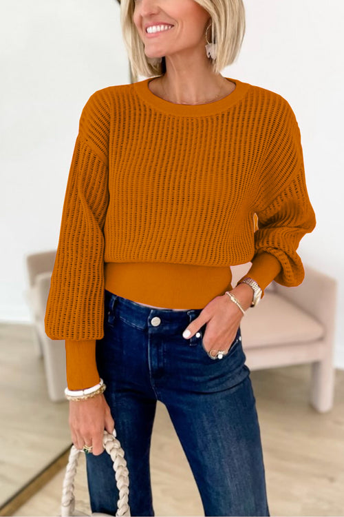 4 Colors Crewneck Back Cut Out Splice Knitting Sweater